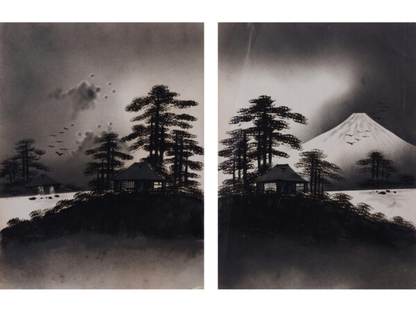 Paar Ansichten: Fuji & Häuser am See