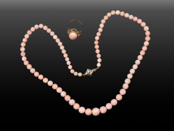 Schmuckset Engelshautkoralle