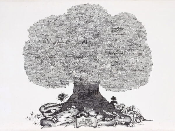 The family Tree of American Rock